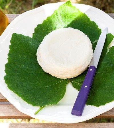 מלון פינאלה ליגורה Agriturismo La Selva מראה חיצוני תמונה