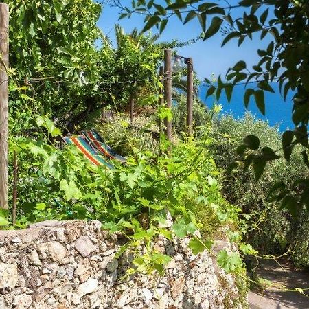 מלון פינאלה ליגורה Agriturismo La Selva מראה חיצוני תמונה
