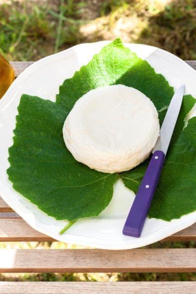 מלון פינאלה ליגורה Agriturismo La Selva מראה חיצוני תמונה