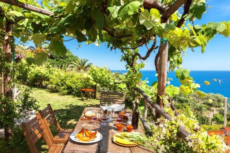 מלון פינאלה ליגורה Agriturismo La Selva מראה חיצוני תמונה