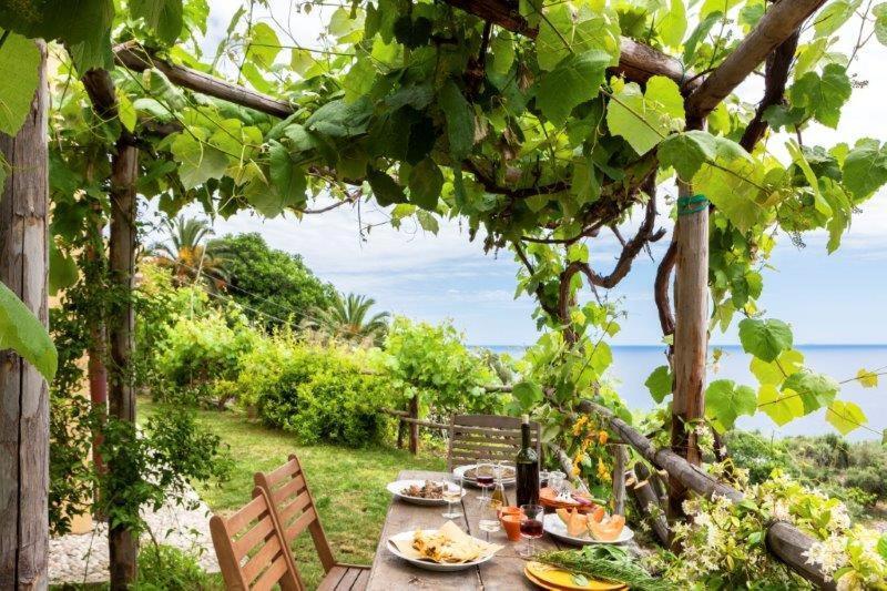 מלון פינאלה ליגורה Agriturismo La Selva מראה חיצוני תמונה