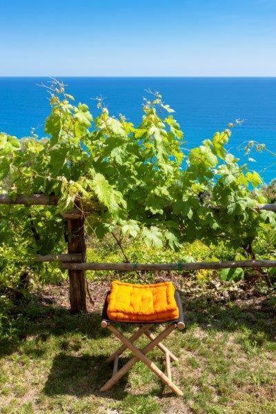 מלון פינאלה ליגורה Agriturismo La Selva מראה חיצוני תמונה