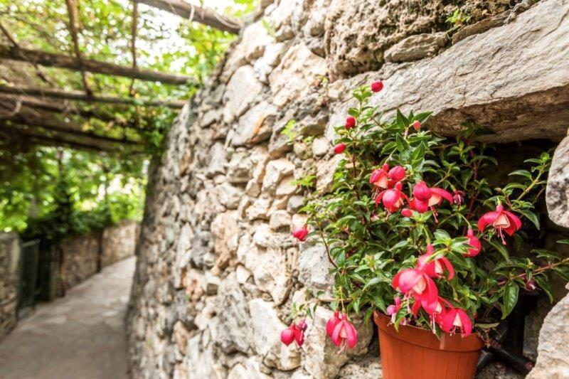 מלון פינאלה ליגורה Agriturismo La Selva מראה חיצוני תמונה