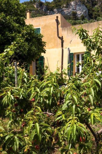 מלון פינאלה ליגורה Agriturismo La Selva מראה חיצוני תמונה
