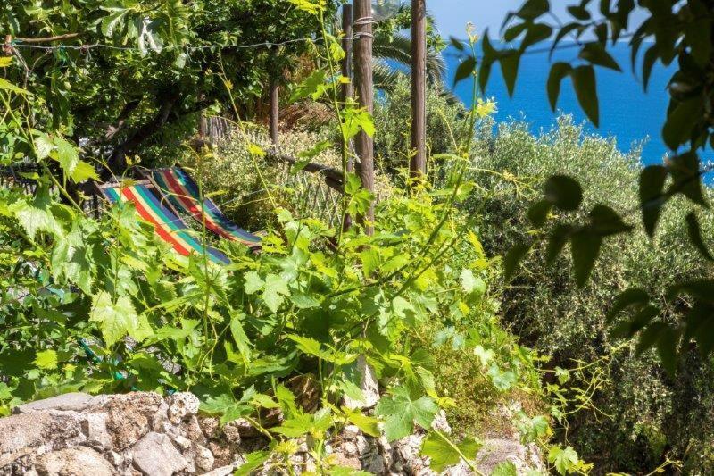 מלון פינאלה ליגורה Agriturismo La Selva מראה חיצוני תמונה