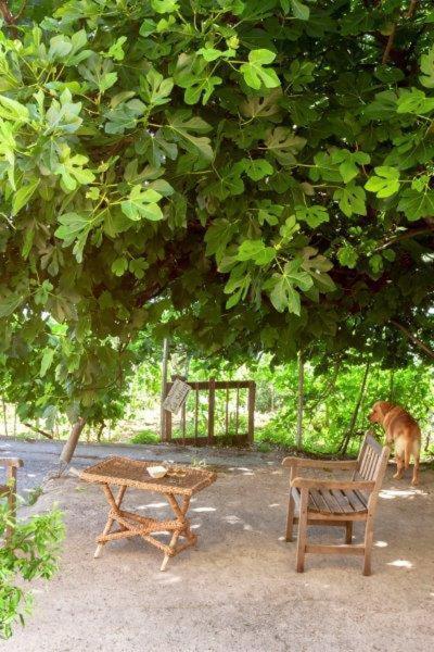 מלון פינאלה ליגורה Agriturismo La Selva מראה חיצוני תמונה